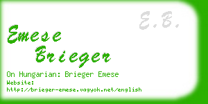 emese brieger business card